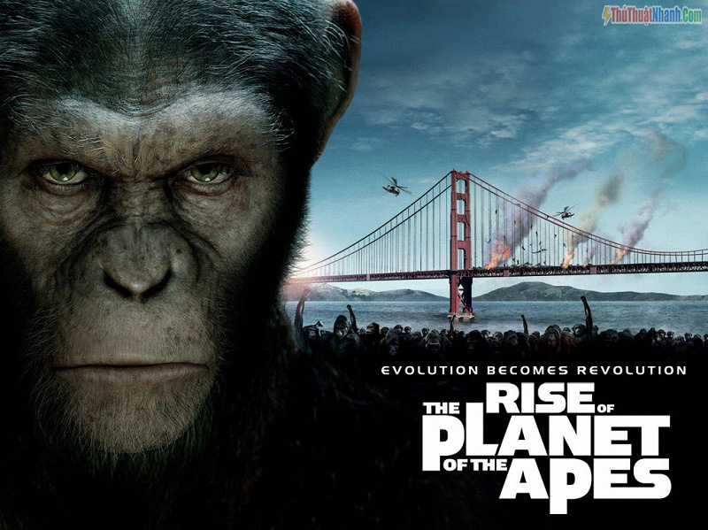 Sự khởi đầu của hành tinh khỉ - Dawn of the planet of the apes (2014)