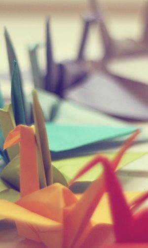 anh nen marco nhung con hac giay