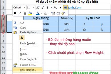 dieu chinh kich thuoc hang cot trong Excel