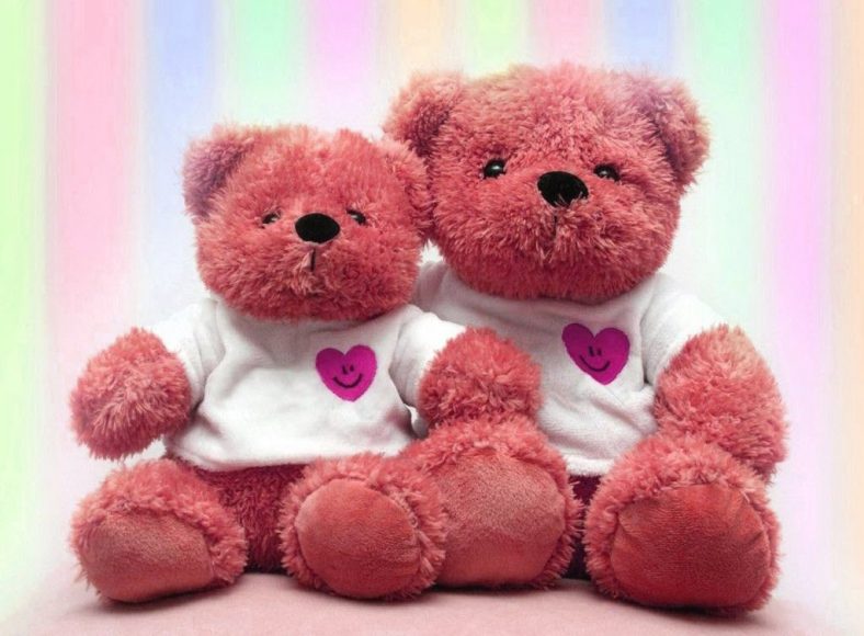 hinh anh doi gau tinh yeu