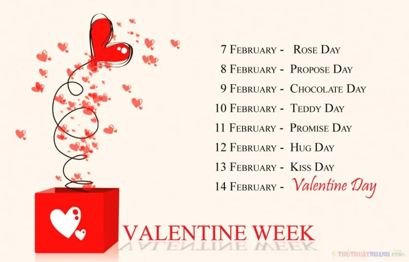 tuan le Valentine