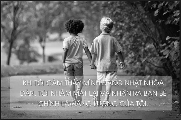 hinh anh cau noi hay va y nghia ve tinh ban