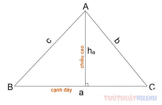 Cách tính diện tích tam giác (thường, vuông, cân, đều) dễ nhớ dễ thuộc