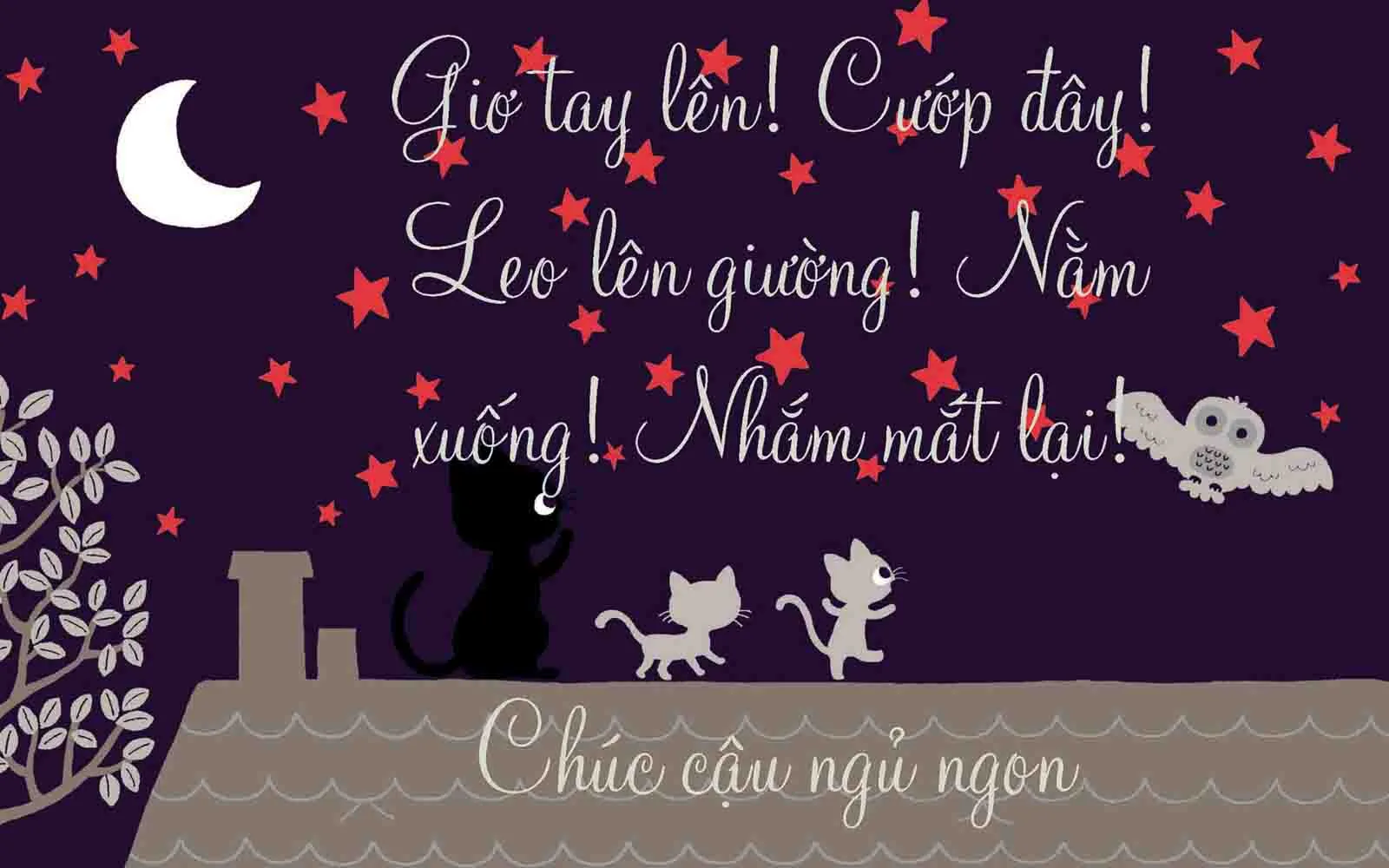 hinh anh va loi chuc ngu ngon hay di dom