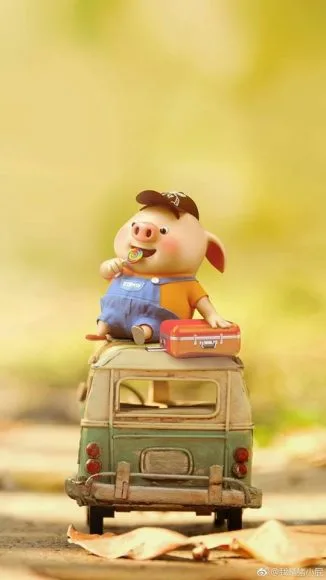 hinh nen be heo map cute cho dien thoai