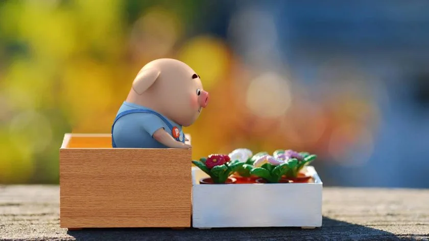 hinh nen be heo map cute de thuong cho may tinh