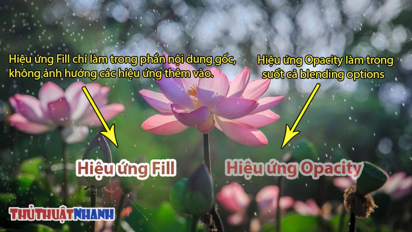 su khac nhau giua fill va opacity trong photoshop