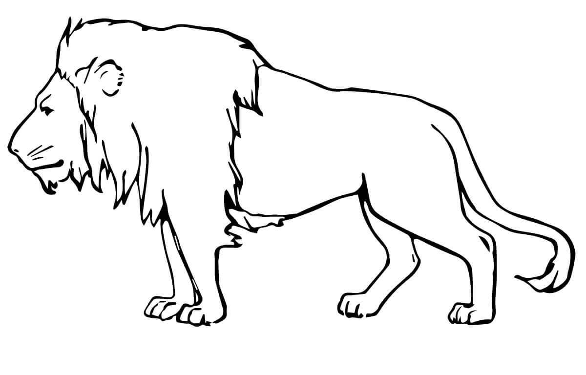 Chia sẻ 70+ tranh vẽ sư tử mới nhất - thtantai2.edu.vn