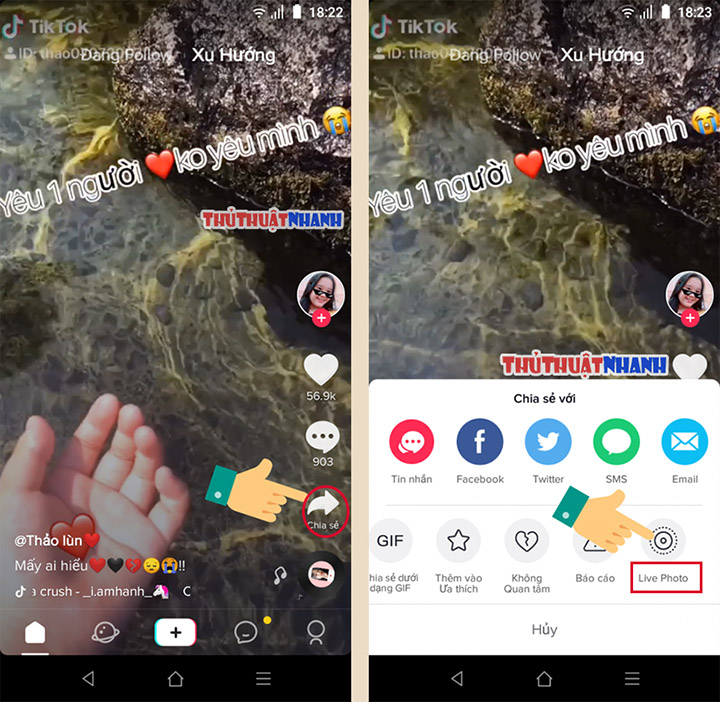 Cài video Tik Tok làm hình nền điện thoại [Android + iOS]