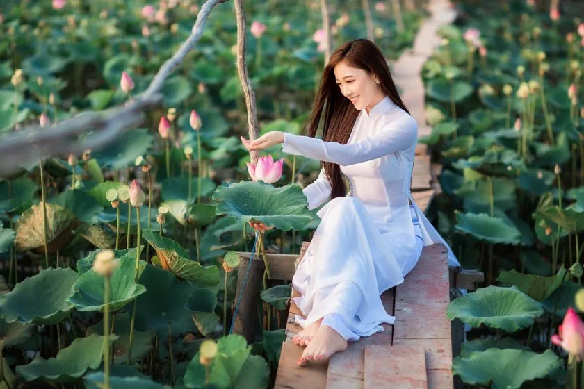 y nghia cua hoa sen voi nguoi phu nu Viet