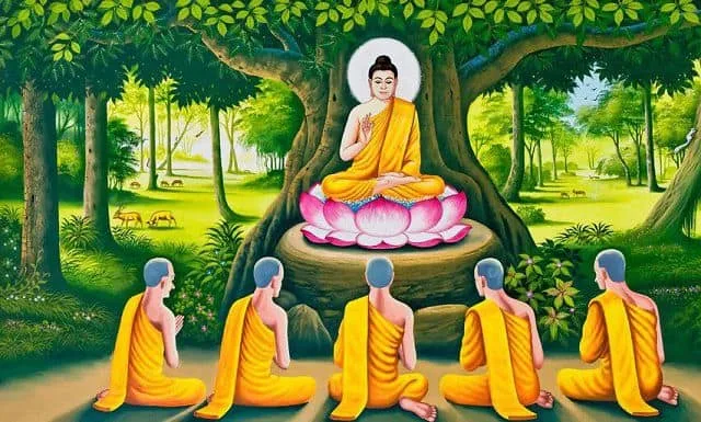 y nghia cua hoa sen voi phat giao