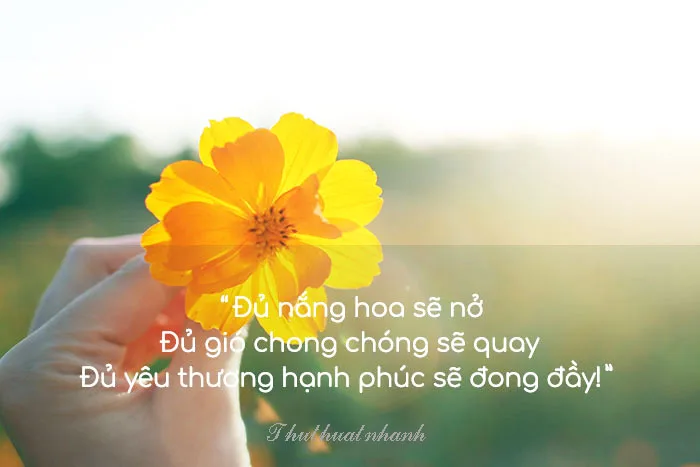 anh chu dep ve tinh yeu