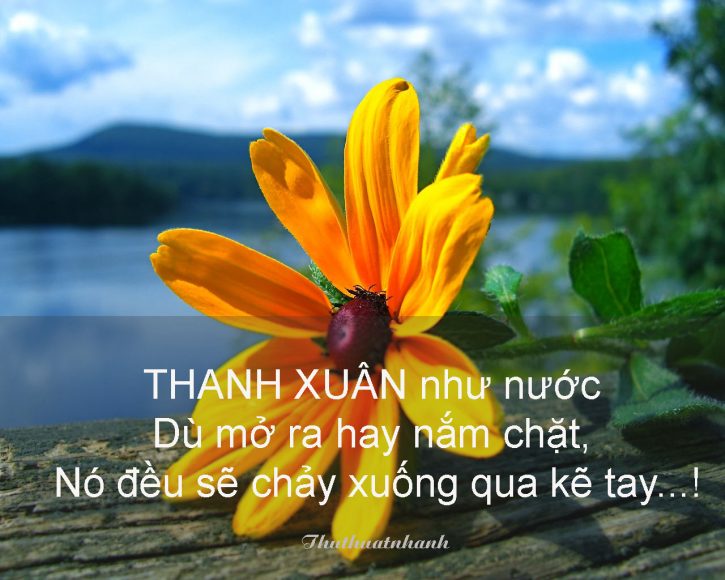 cau noi hay ve thanh xuan
