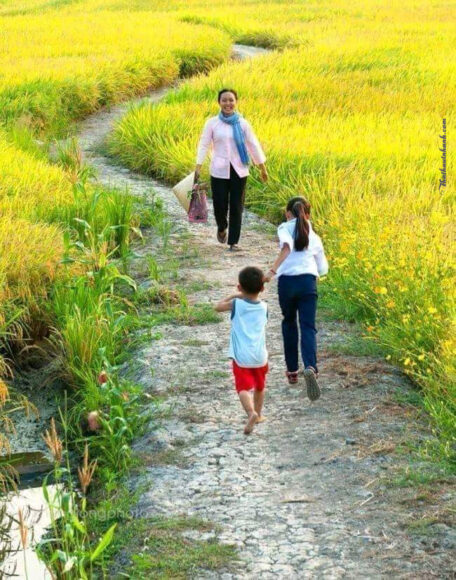 Hình ảnh mẹ đi chợ về