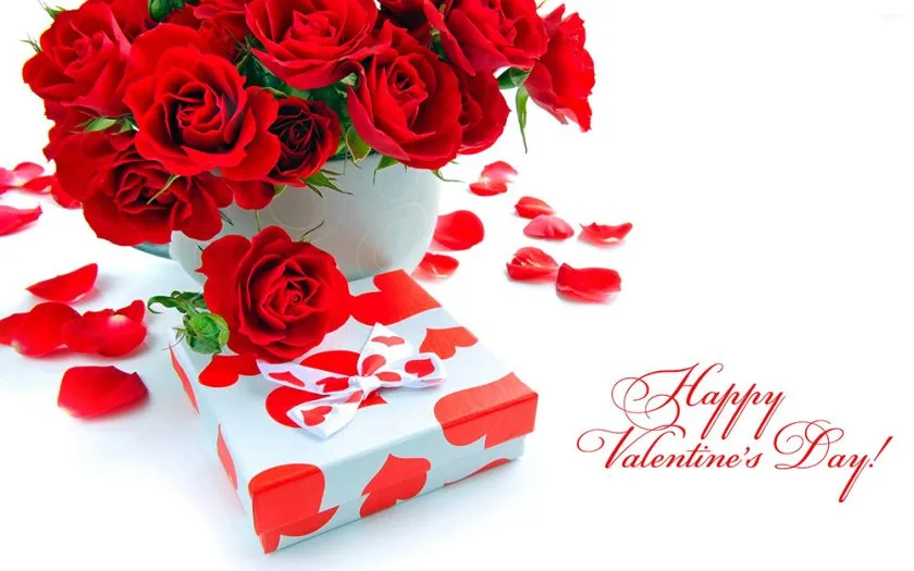 anh hoa hong dep va mon qua valentine y nghia