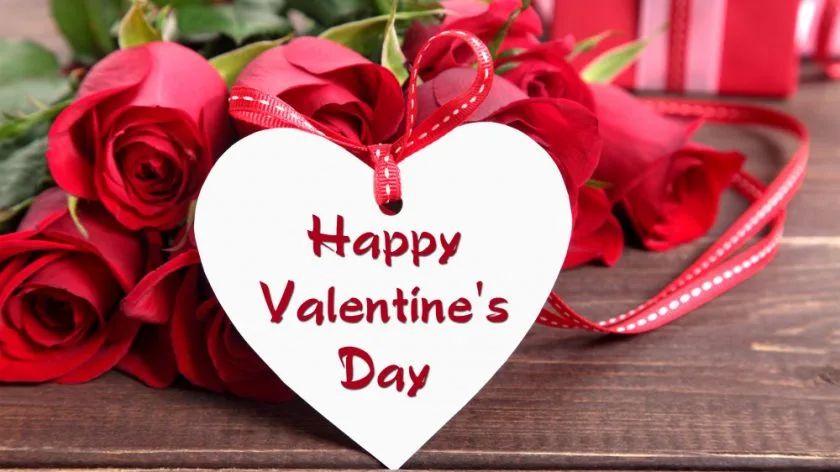 hình ảnh hoa hồng đẹp lãng mạn cho ngày valentine