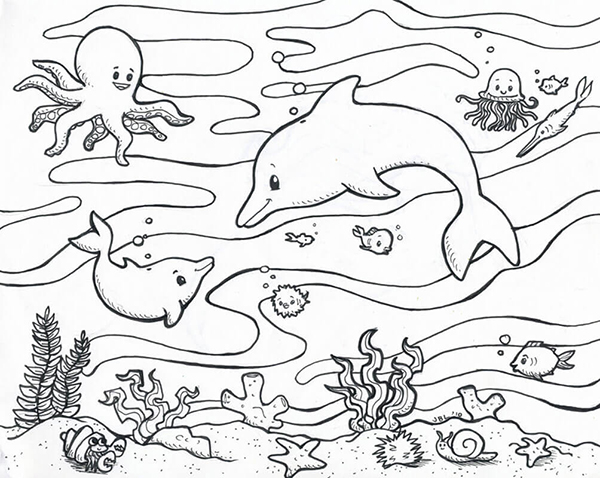 hình tô màu các con cá heo dưới đáy đại dương