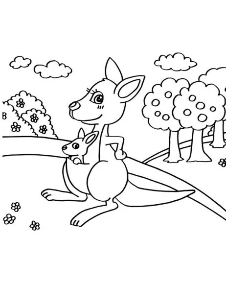 hình tô màu con chuột túi Kangaroo