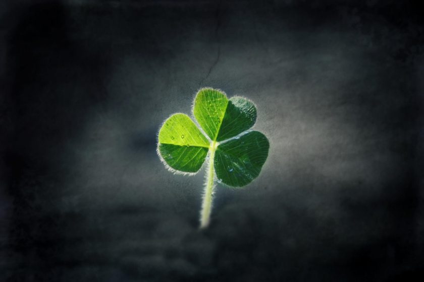 clover wallpapers hd