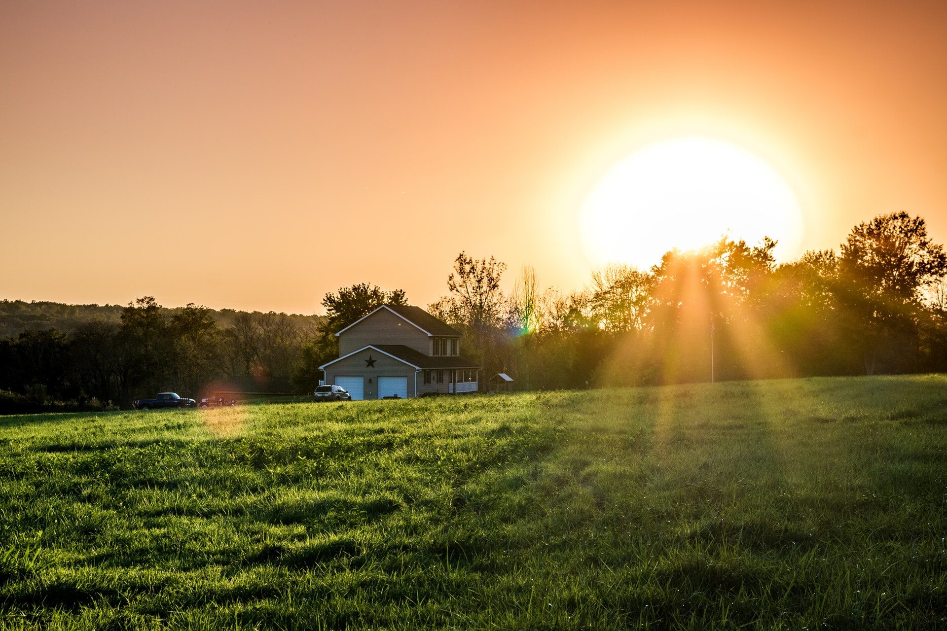 Hình ảnh miễn phí mặt trời mọc reed cỏ ánh sáng mặt trời cỏ cảnh bình minh mặt trời bầu trời thiên nhiên