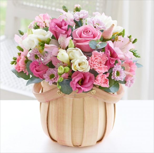 hoa sinh nhat tang chi