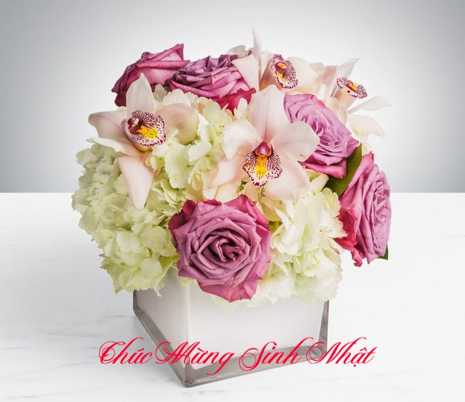 mau hoa sinh nhat sang chanh