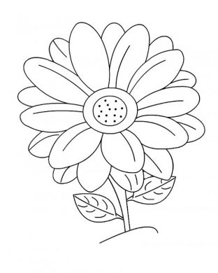 tranh to mau hoa huong duong