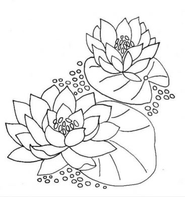 tranh to mau hoa sen dep