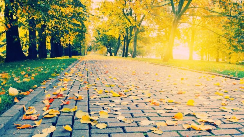 ảnh đẹp về nắng mùa thu