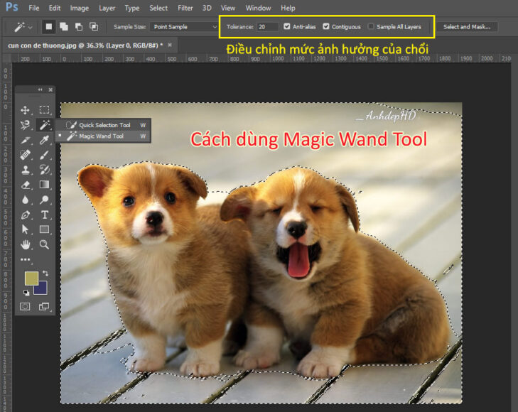 Cách dùng magic wand tool trong photoshop