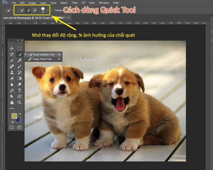 cách dùng quick selection tool trong pts