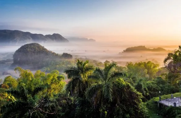 hình ảnh đẹp phong cảnh