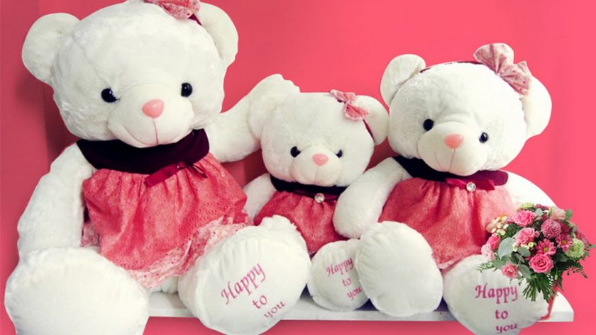 hinh anh gau bong trang happy to you