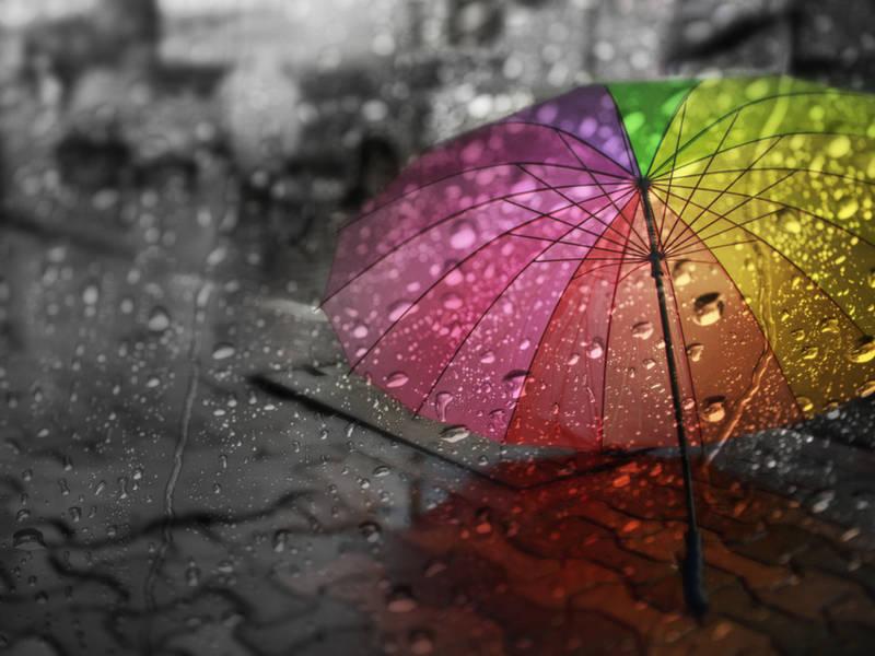 Những hình ảnh mưa buồn đầy cảm xúc sẽ khiến bạn nhớ về những kỷ niệm đầy xúc cảm. Hãy cùng chiêm ngưỡng những giọt nước mưa rơi, những cơn gió mát mẻ và sự lặng lẽ của những buổi mưa buồn.