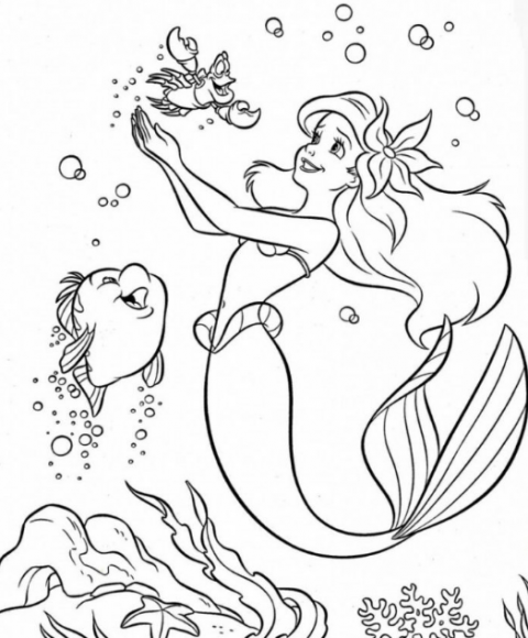 hinh anh nang tien ca