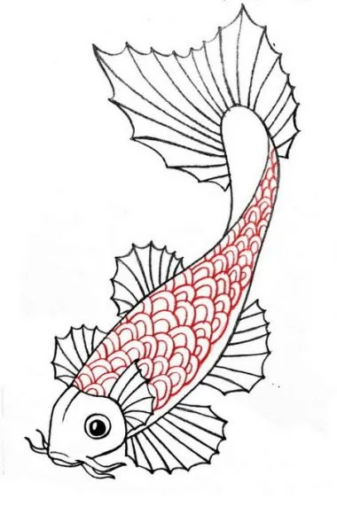 hình ảnh vẽ cá chép