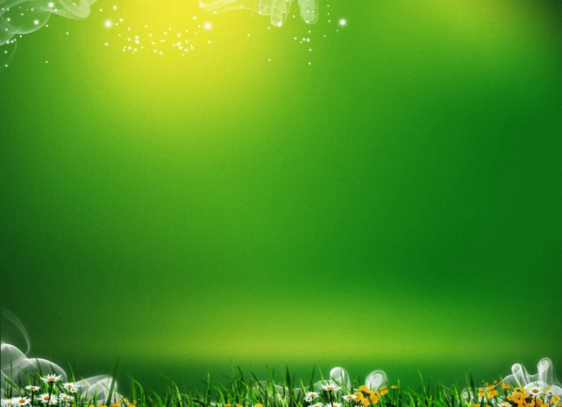 hình nền màu xanh lá cây đẹp hd
