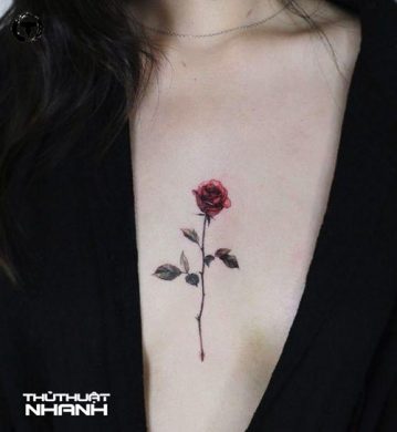 hình xăm hoa hồng nhỏ ở ngực