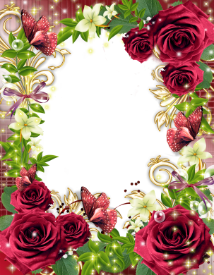 khung ảnh đẹp với hoa hồng và bướm