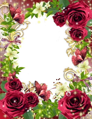 khung ảnh đẹp với hoa hồng và bướm