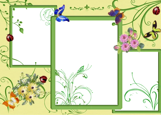 khung hình đẹp để ghép 3 ảnh