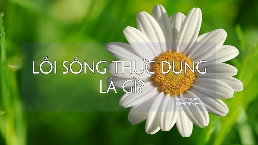 lối sống thực dụng là gì