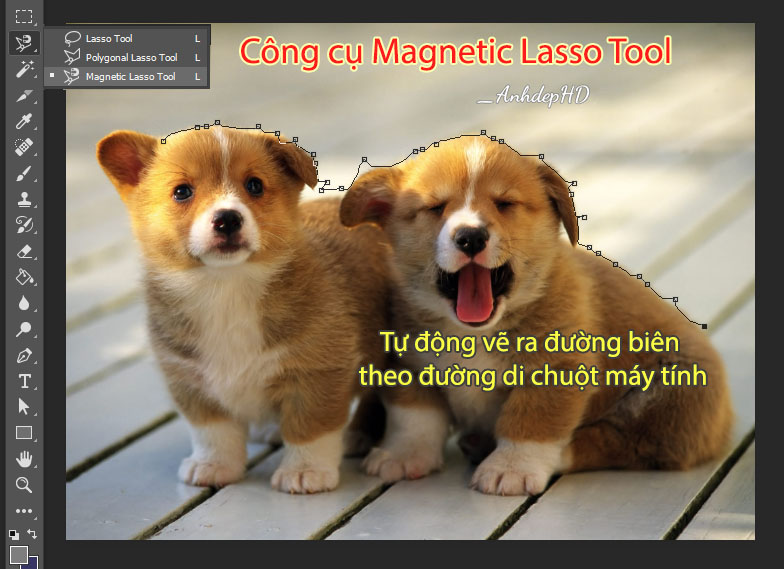 Magnetic Lasso Tool trong photoshop