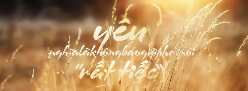 nhung-anh-bia-facebook-ve-tinh-yeu-dep-nhat-cho-cap-doi (20)