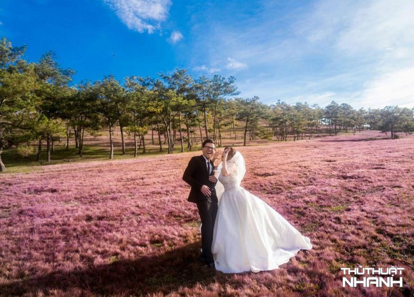 nhung bai hat dam cuoi tieng anh hay nhat