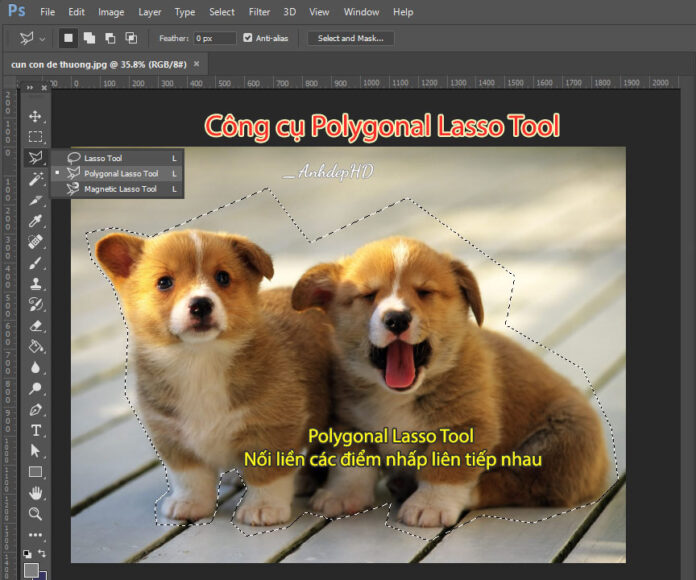 Polygonal Lasso Tool trong photoshop