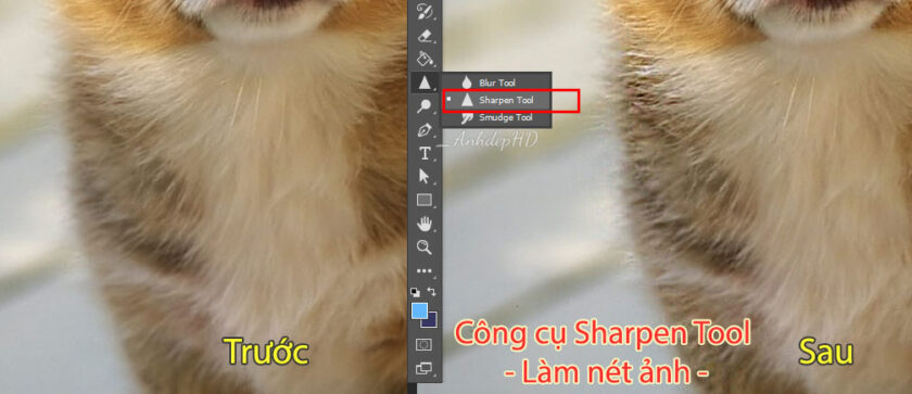 Sharpen Tool trong photoshop