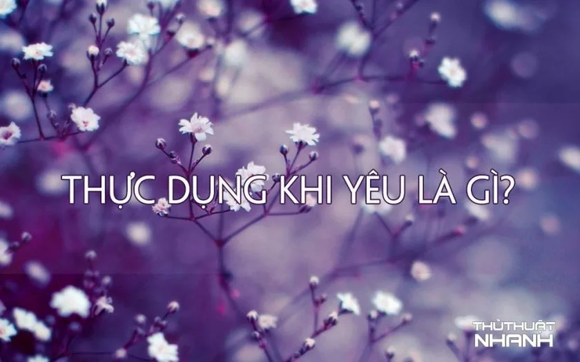 thực dụng khi yêu là gì