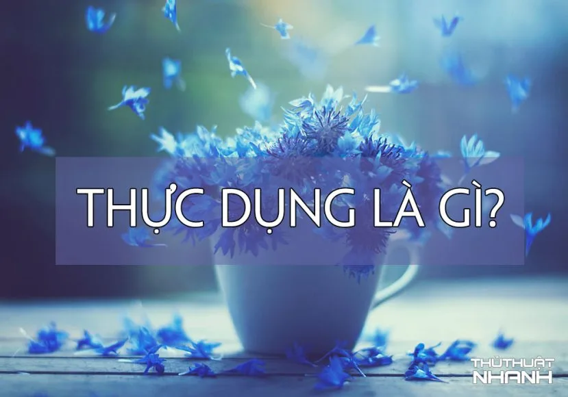thực dụng là gì