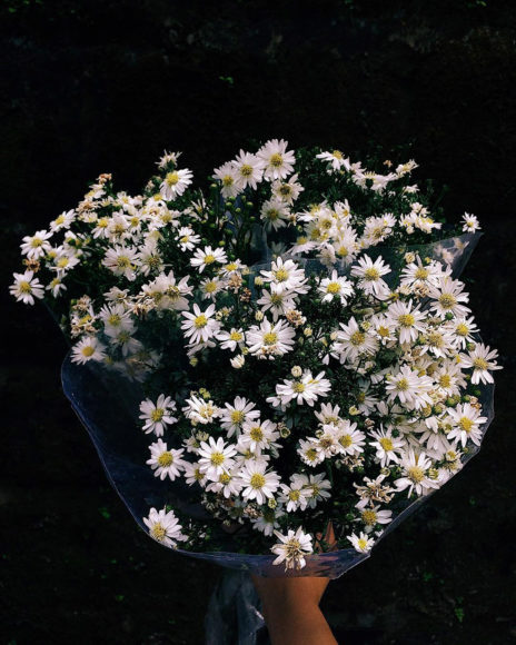 hình ảnh bó hoa cúc họa mi tuyệt đẹp